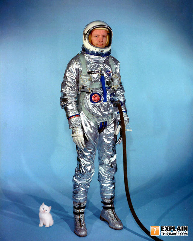 Neil armstrong pre gemini spacesuit with kitten