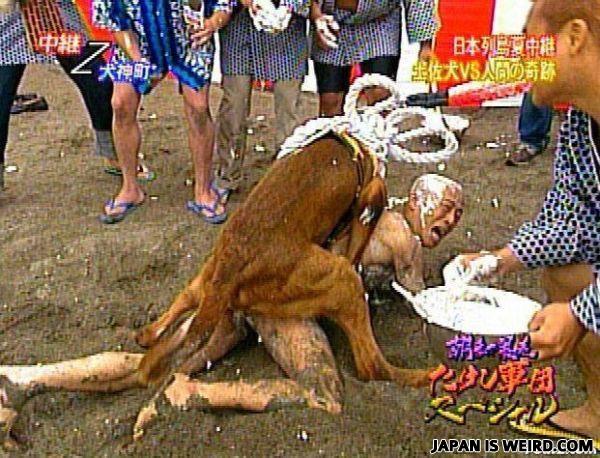 Japanese Bizarre Sex - Strange and Bizarre Japanese Photos - Japan is Weird